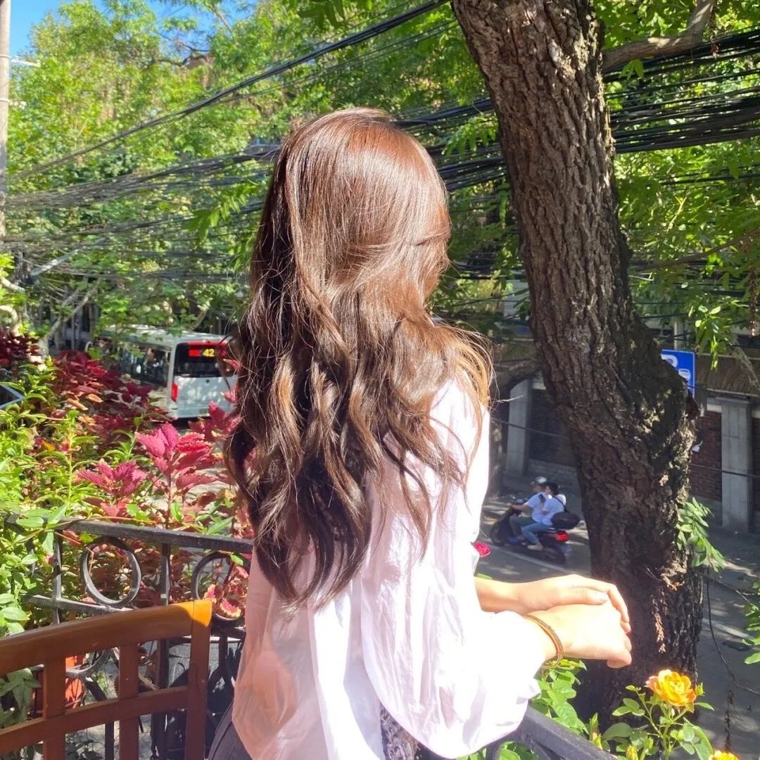 小海龟历险记2